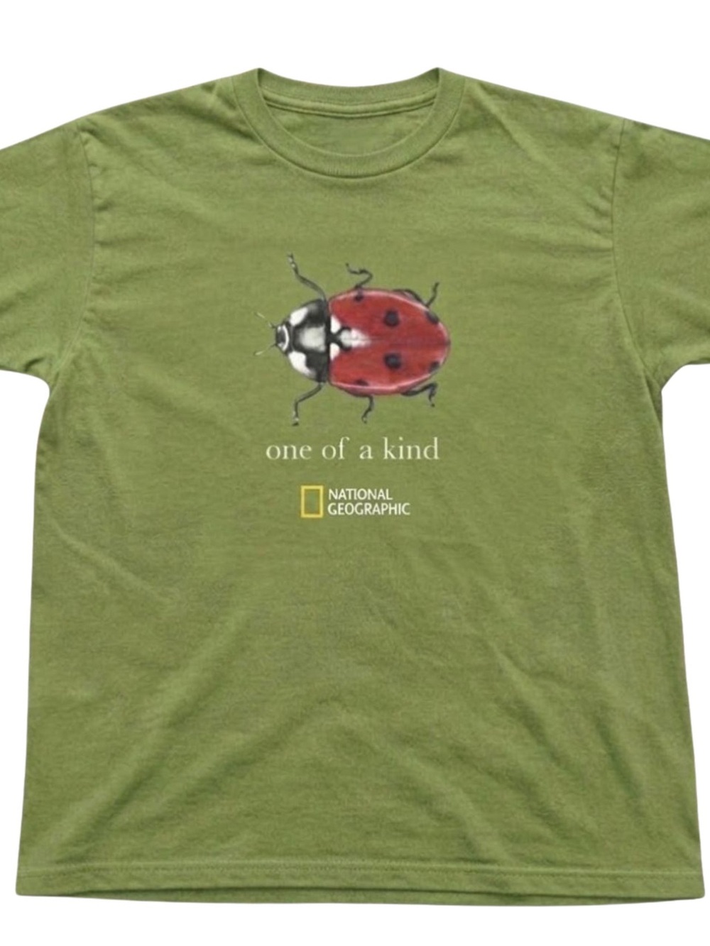 Gildan Olive Green Tee with Red Ladybug Graphic, Gift For Her, For Him